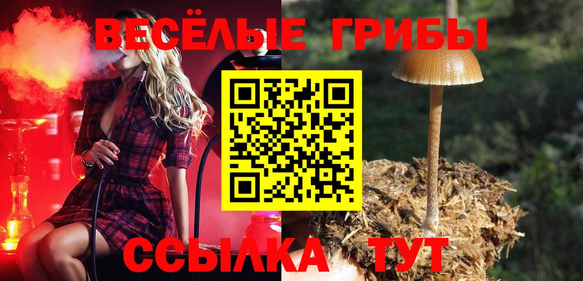 Галлюциногенные грибы Psilocybine cubensis  купить  цена  Кузнецк  Вход с VPN 